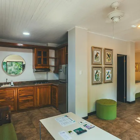 Jungle Vista Boutique Hotel-3