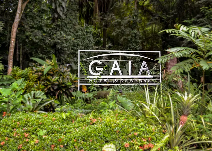 Gaia Hotel & Reserve- Adults Only